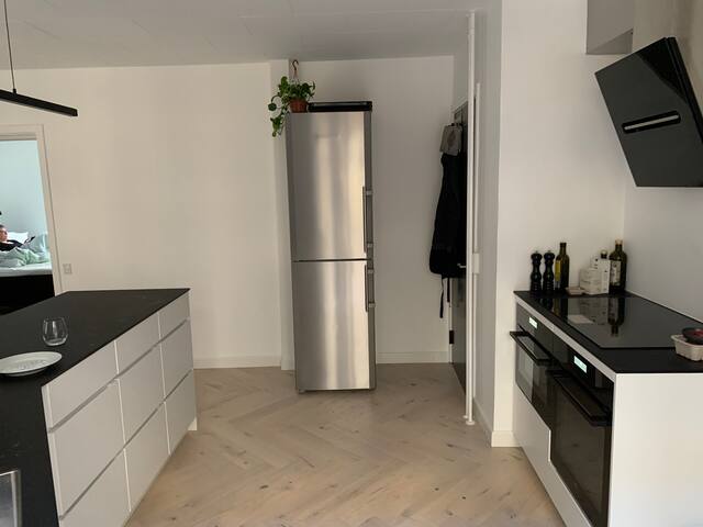 Large apartment (150 m2) close to the inner city gallery image 3