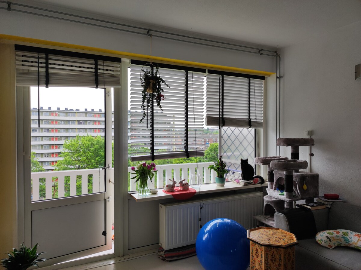 A bright living area features large windows with blinds allowing natural light to filter in. Potted plants are arranged on a windowsill, while a cozy seating area includes a cat tree and colorful cushions. The view outside shows greenery and a neighboring building.