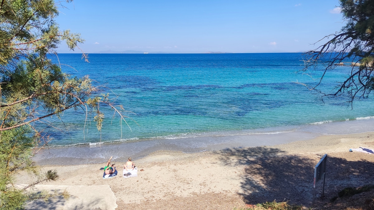 A serene beach scene features crystal-clear turquoise waters gently lapping against a sandy shore. Two individuals relax on the beach, surrounded by a natural backdrop of trees and shrubs. The horizon is visible, blending seamlessly with the blue sky.