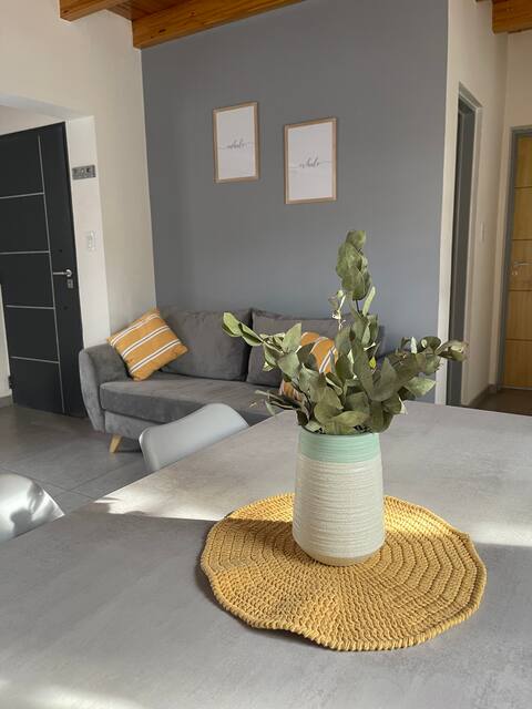 No. 5 - new and spacious apartment in Mendoza