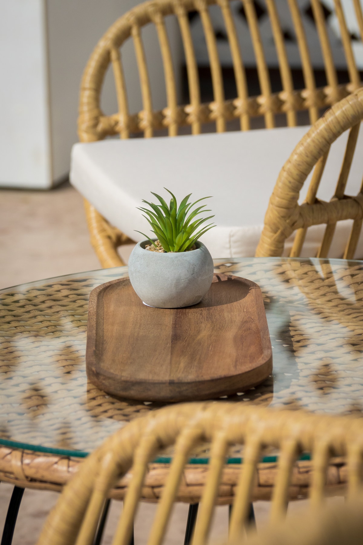 A glass table is adorned with a wooden serving tray, featuring a small potted plant in a simple gray pot. Surrounding the table are woven rattan chairs, complemented by soft cushion seating.