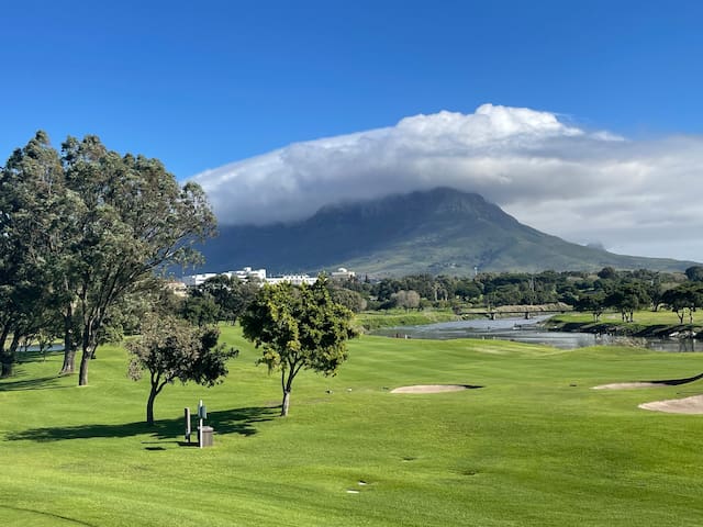 Cape Town Table Mountain Views – African Aloe