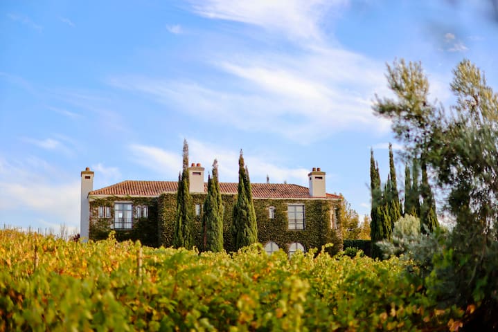 Casi Villa featured image