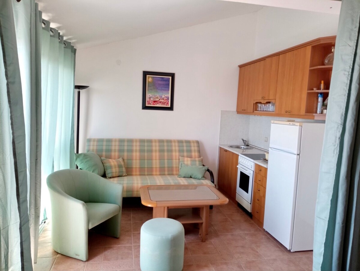 A living area features a comfortable sofa with plaid upholstery, accompanied by a light green accent chair and a round ottoman. A wooden coffee table sits in the center. The kitchen area is equipped with wooden cabinets, a stove, and a refrigerator, while large windows are adorned with flowing green curtains.
