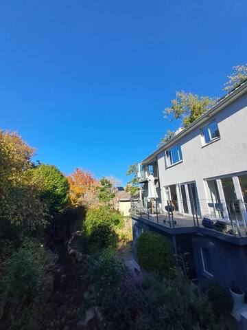 Forest Edge in Newlands gallery image 2