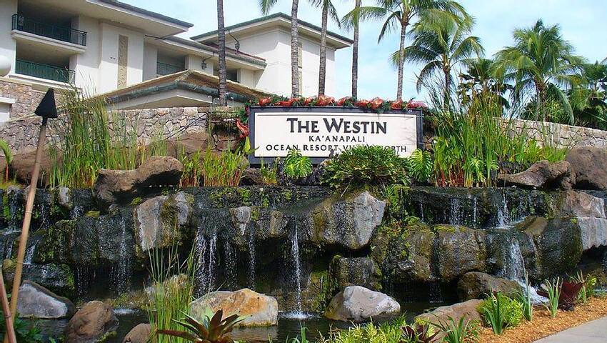 Oceanfront Westin Kaanapali North -2BD! gallery image 5