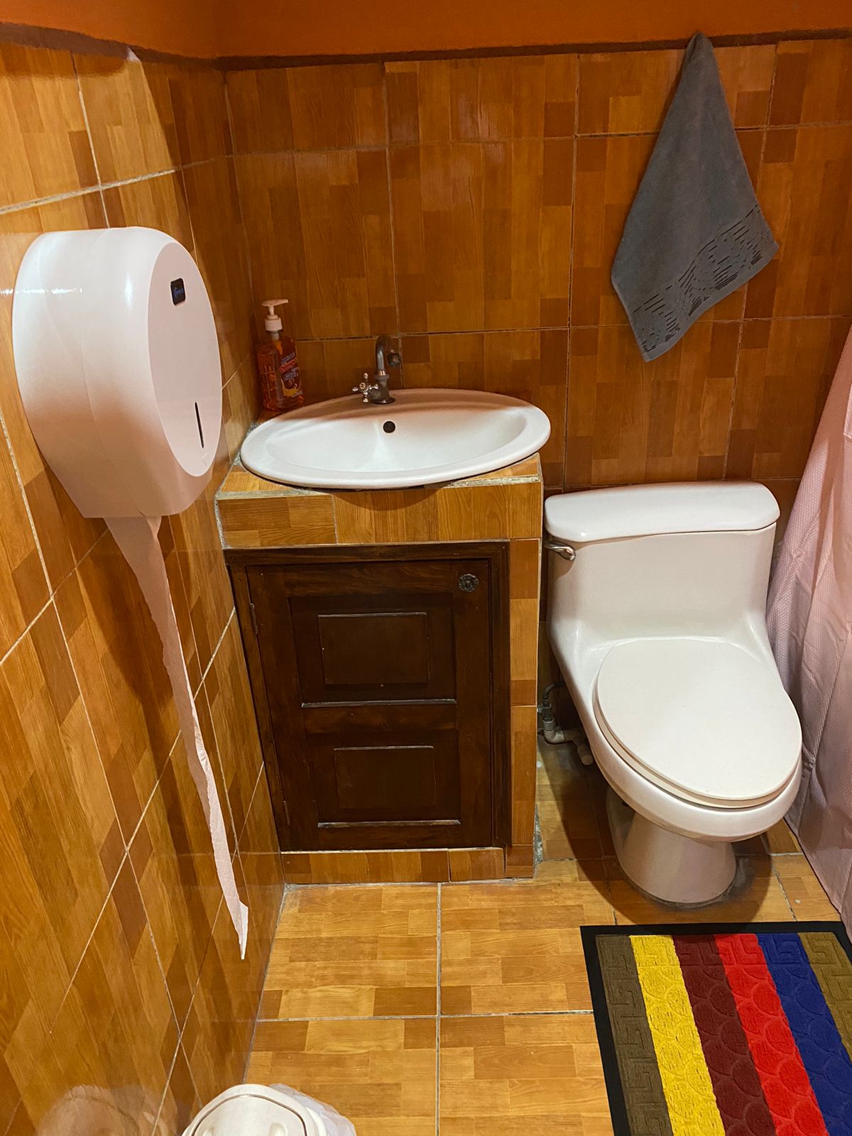 The bathroom features wooden-paneled walls and a compact vanity sink with a mirror above. A toilet is positioned next to the sink, and a shower curtain adds privacy. A towel hangs on the wall, and a colorful mat is placed on the floor.