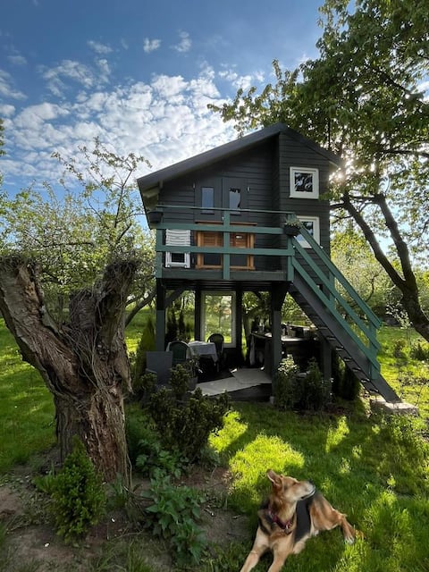 Wonderful time at treehouse