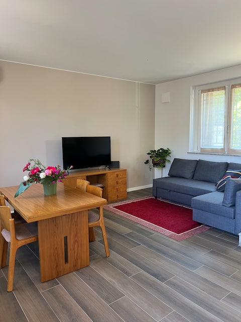 Proprietà Airbnb di successo: Villa with garden in central area a Pavia