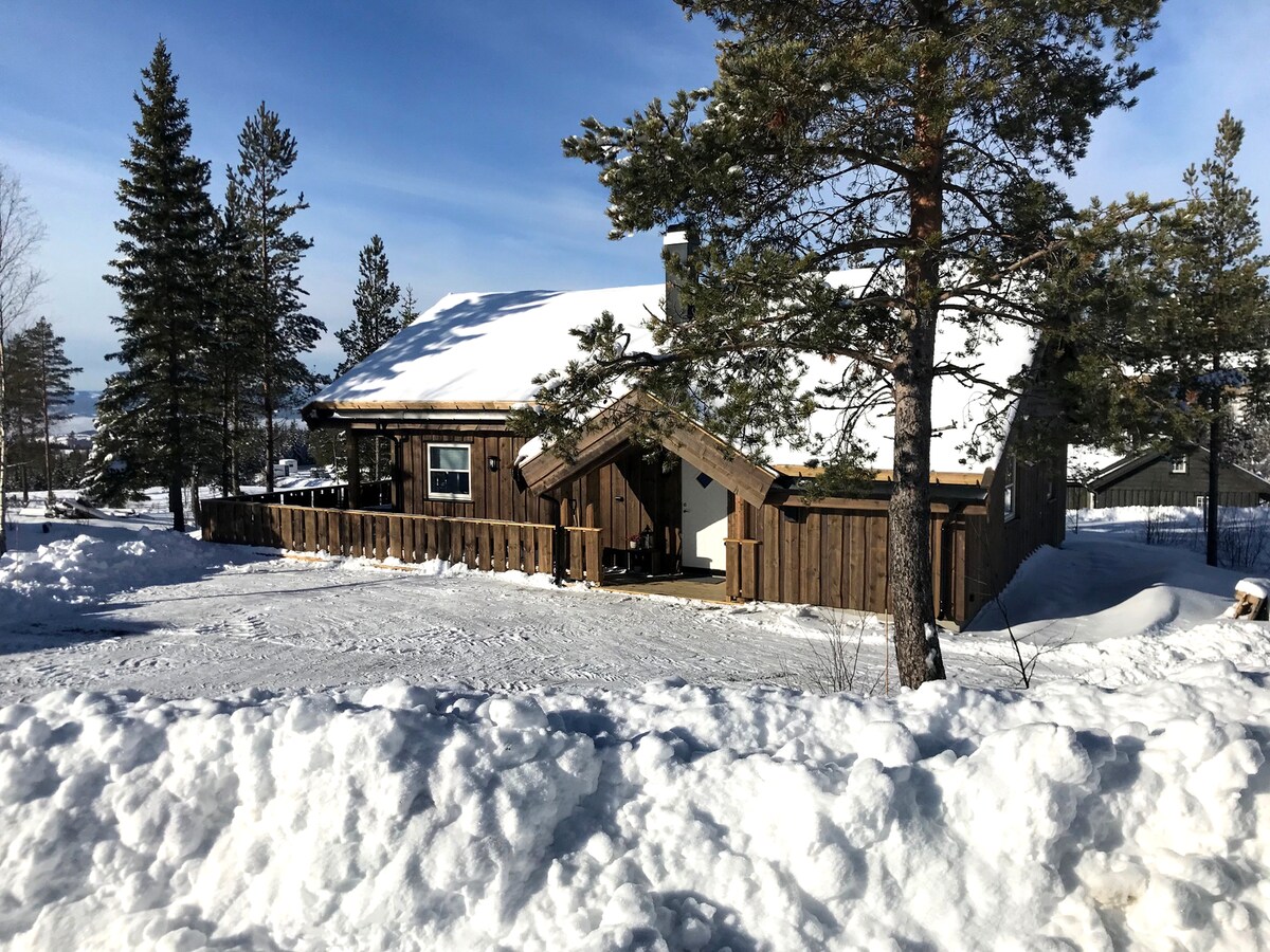 The cabin is set against a snowy landscape, featuring a wooden exterior and a sloped roof. Surrounding trees and a clear blue sky complement the scene. Snow covers the ground, creating a serene winter atmosphere, while a pathway leads to the entrance.