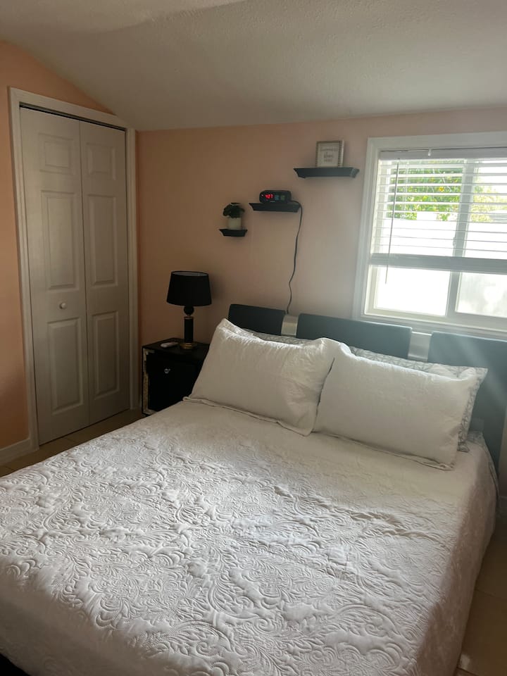 Family home Houses for Rent in Tampa, Florida, United States Airbnb