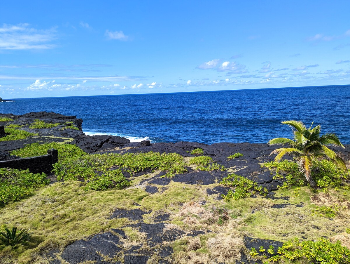 Awesome Ocean Front Home See the Sea for Miles! Houses for Rent in Keaau, Hawaii, United
