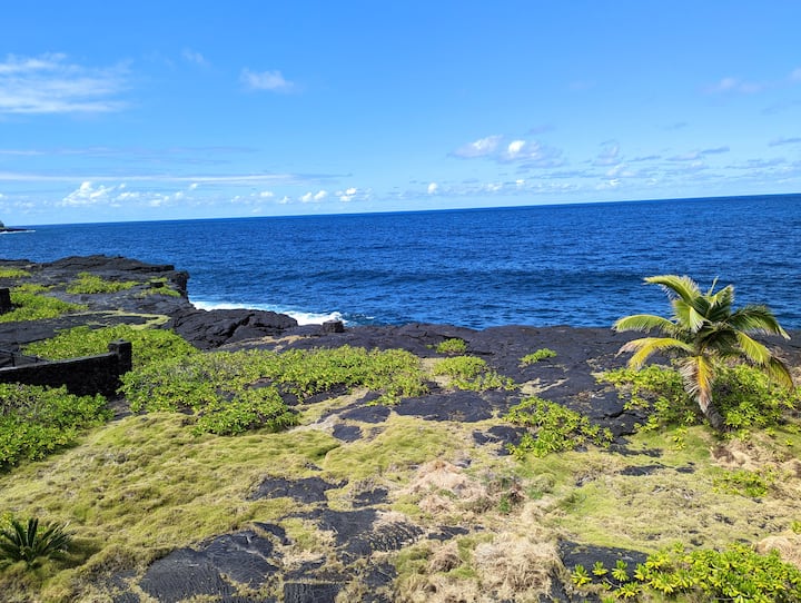 Awesome Ocean Front Home See the Sea for Miles! Houses for Rent in