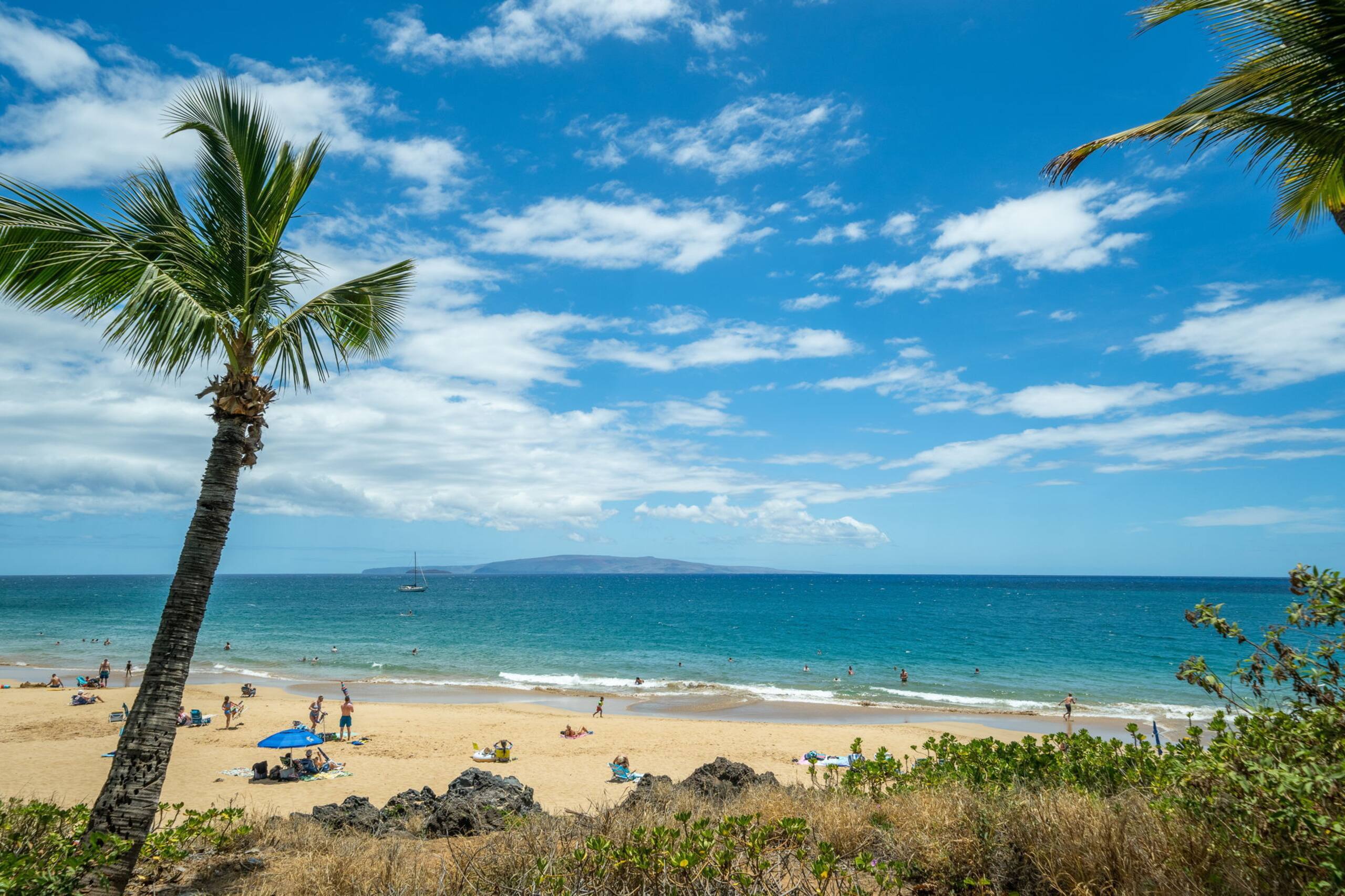 Condo in Kihei · ★4.78 · 2 bedrooms · 2 beds · 1 private bath - Image 39