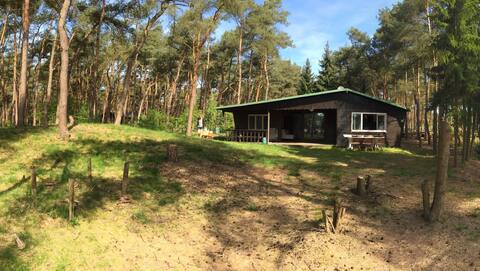 Finch Cabin