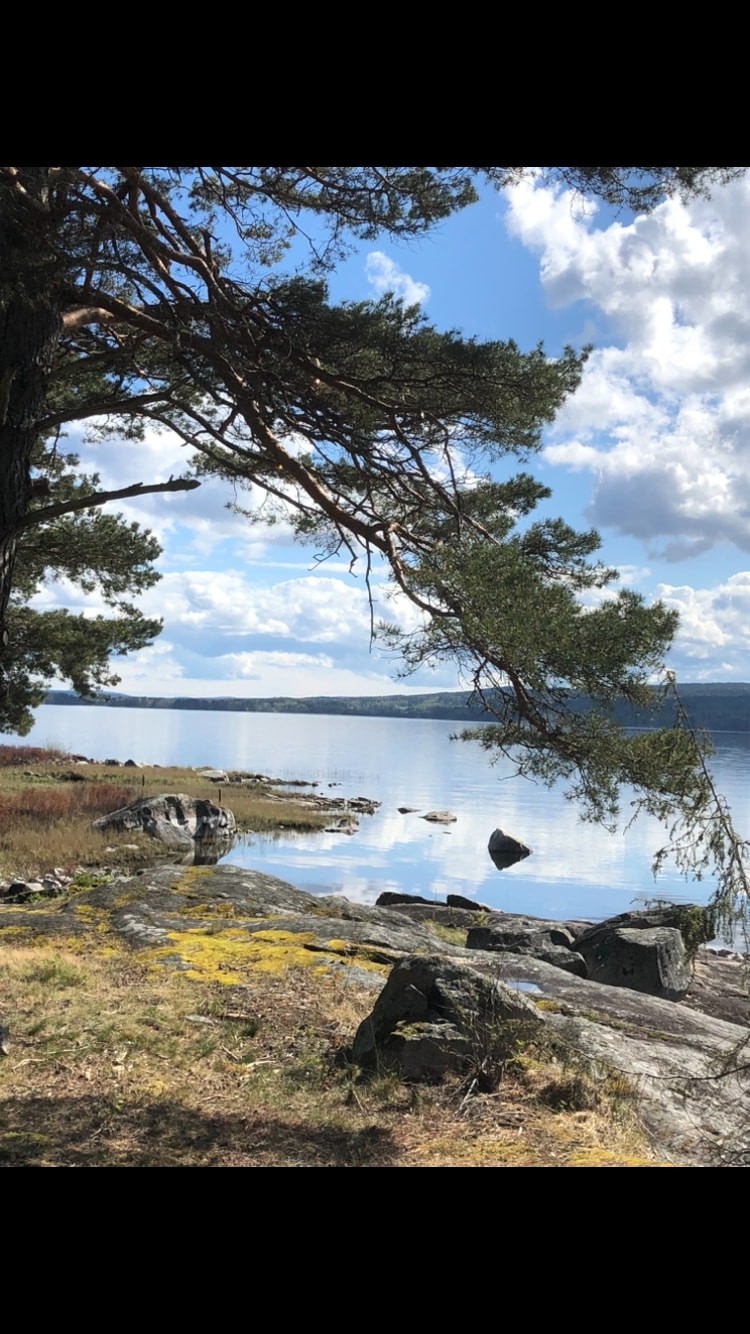 A serene lakeside scene is depicted, featuring calm waters reflecting the sky. Large rocks and patches of green grass frame the shoreline, while a tree hangs overhead, providing shade. The landscape is dotted with scattered stones along the water's edge.