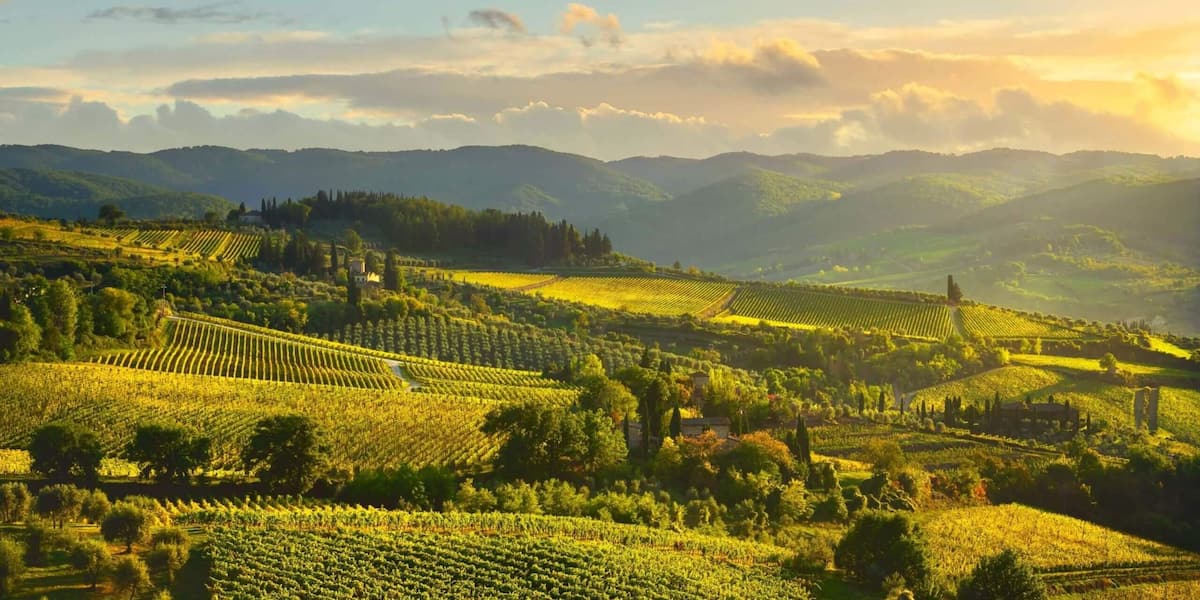 Tuscany Home — Giardino, parcheggio e barbecue — 35