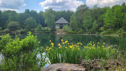 Secluded Lakefront Art Retreat with Stunning Views