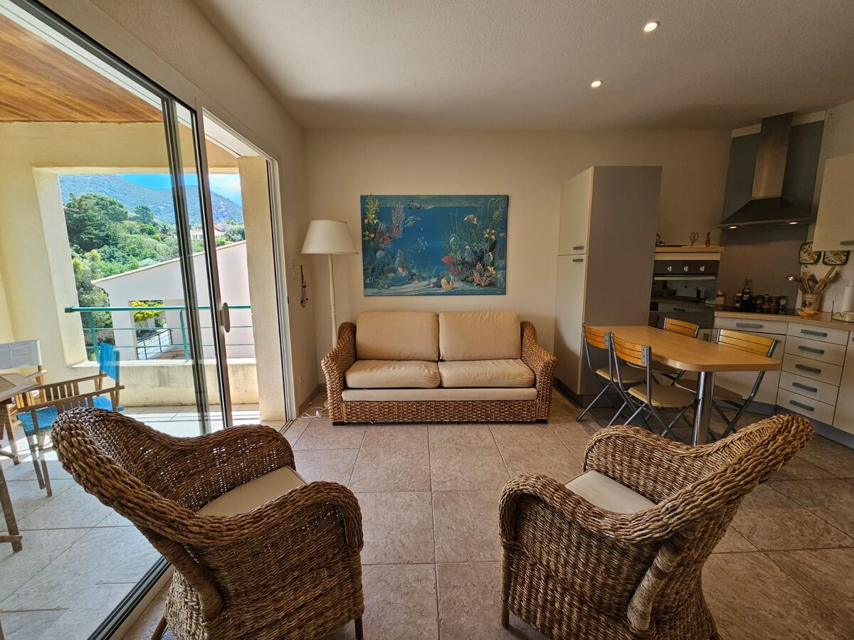 Top performing Airbnb: Apartment with large terrace in Saint Florent