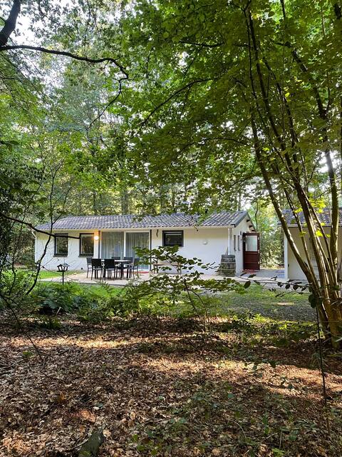 Forest house in nature reserve