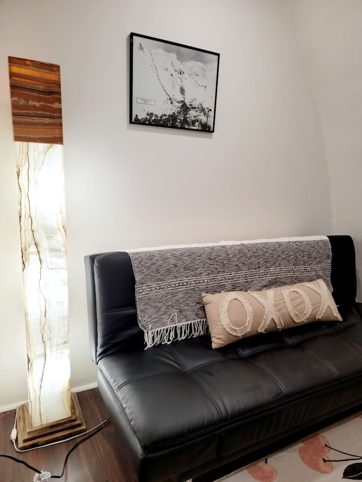 TV room / fold down queen sofa bed