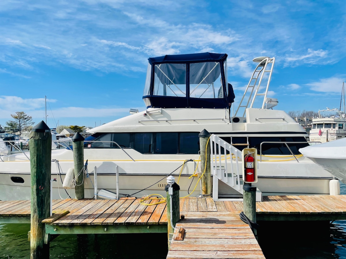 Boats for sale in Stevensville, Maryland