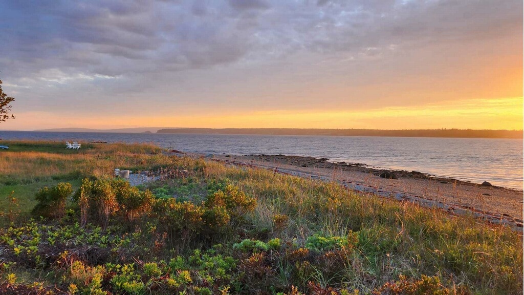 A serene beachfront scene showcases gently sloping grass leading to the shoreline. The water reflects a warm sunset hue, with scattered rocks along the beach. Fluffy clouds transition from gray to golden, enhancing the peaceful atmosphere of the coastal landscape.