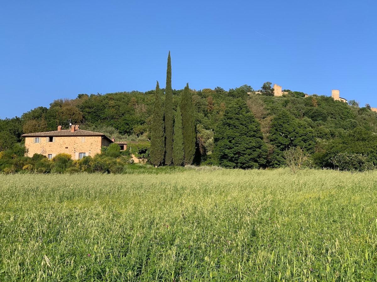A rustic stone farmhouse is nestled in the lush greenery of a hillside, surrounded by tall cypress trees. The clear blue sky provides a serene backdrop, while the expansive field in the foreground adds to the sense of tranquility.