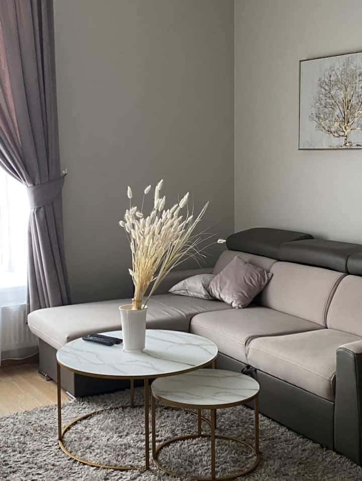 Apartment Near Zalgirio Arena - Kaunas