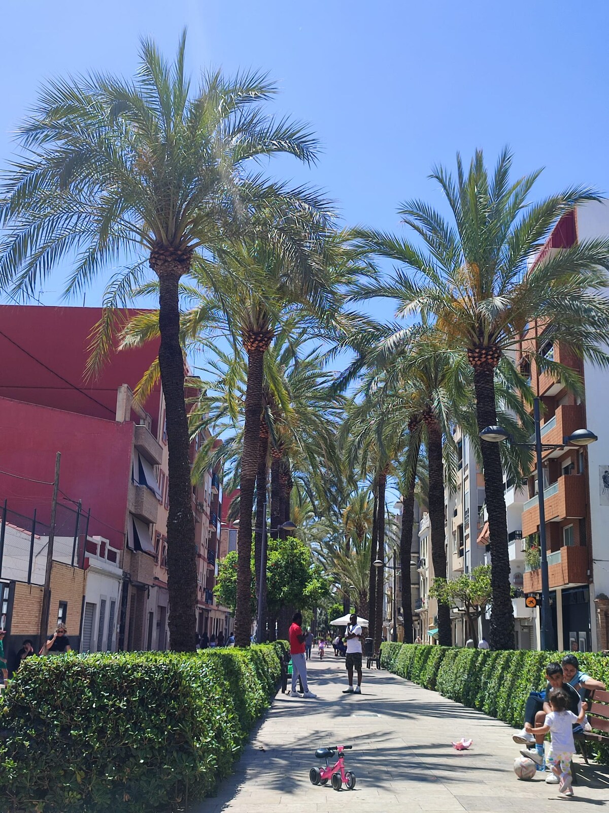 A vibrant urban scene is depicted, featuring a palm-lined walkway. Lush greenery borders the path, providing shade. People are seen enjoying leisure activities, with colorful buildings in the background that add to the lively atmosphere. The sun is bright, creating a cheerful ambiance.