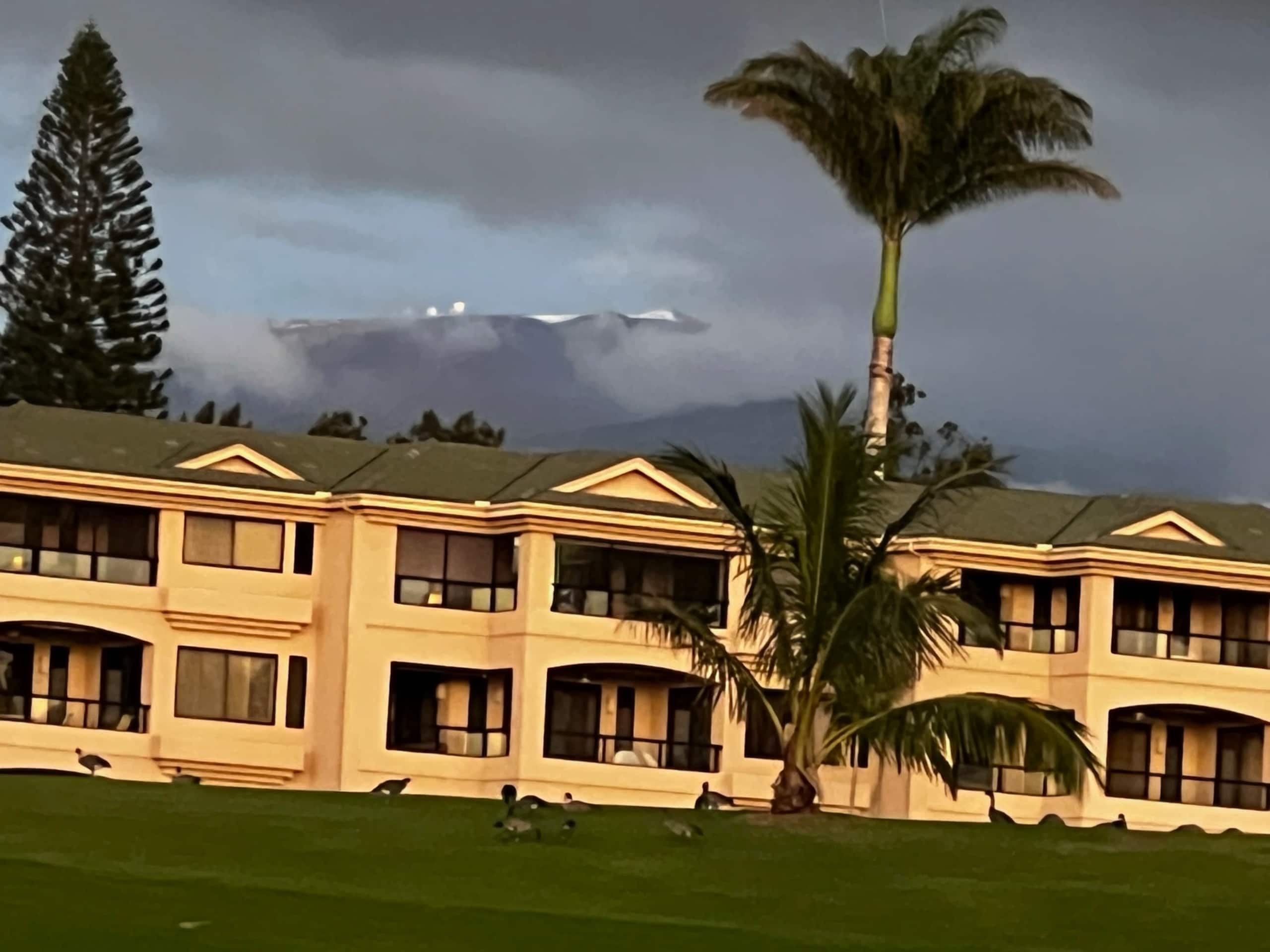 Waikoloa Gem: Views, Beach Gear, Pickleball + Golf - Photo 23