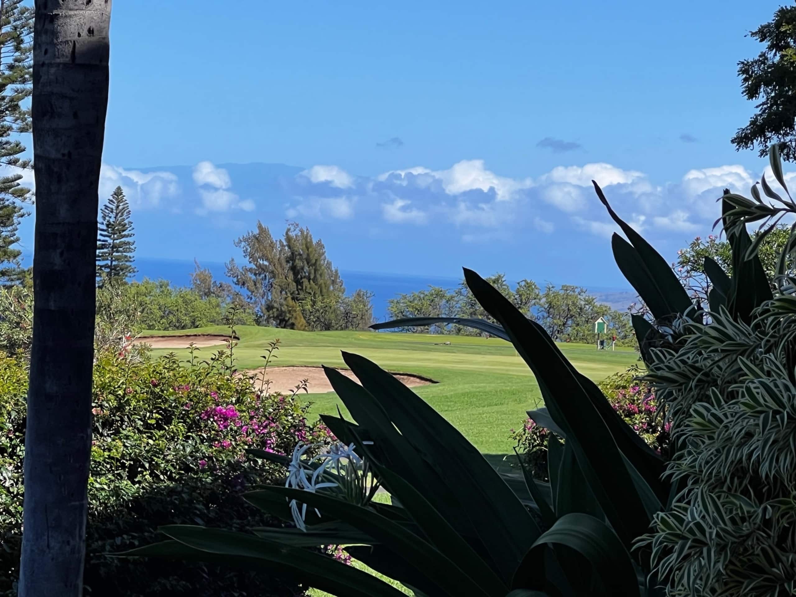 Waikoloa Gem: Views, Beach Gear, Pickleball + Golf - Photo 28
