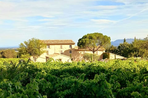 Cottage du Chat Blanc - Swimming pool - Vineyard