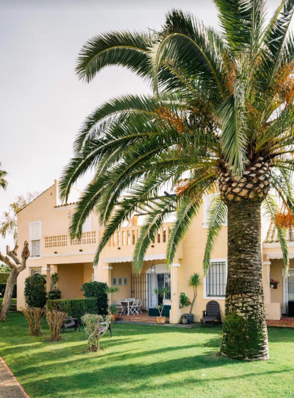A light-colored building features a spacious balcony surrounded by palm trees. Lush greenery and manicured shrubs are visible in the yard, with seating areas positioned on the patio. Soft sunlight highlights the texture of the building's facade and the vibrant colors of the landscape.