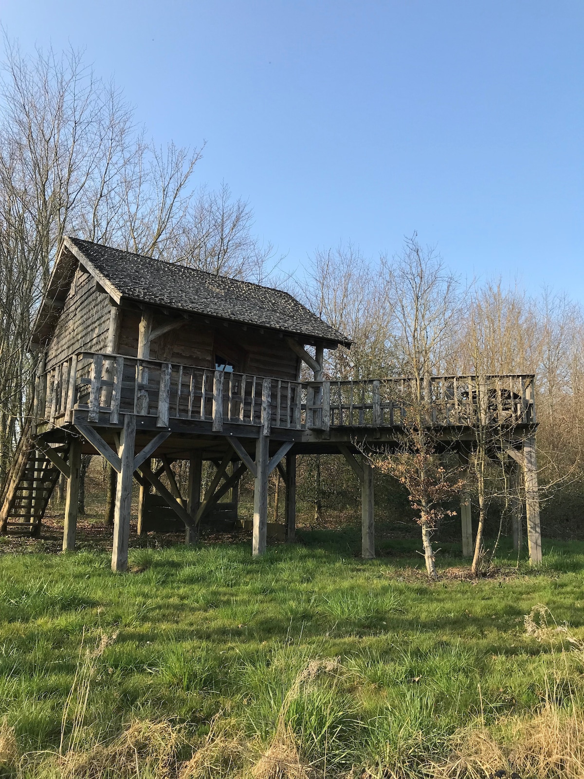 A wooden cabin is elevated on stilts, surrounded by lush greenery and young trees. The structure features a sloped roof and a spacious deck with a railing that allows for outdoor relaxation. Stairs lead up to the entrance, enhancing accessibility.