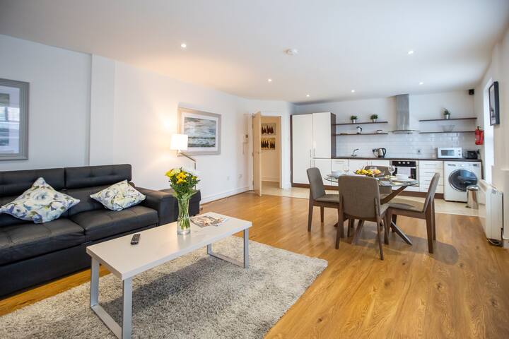 Central and stylish 2 bedroom loft in Dublin gallery image 4