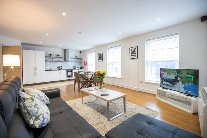 Central and stylish 2 bedroom loft in Dublin
