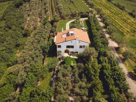 Villa Gabriella - Luxury apartment in Valpolicella