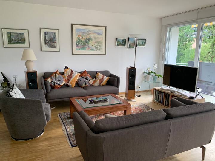 Beautiful apartment near Montreux Condominiums for Rent in Montreux