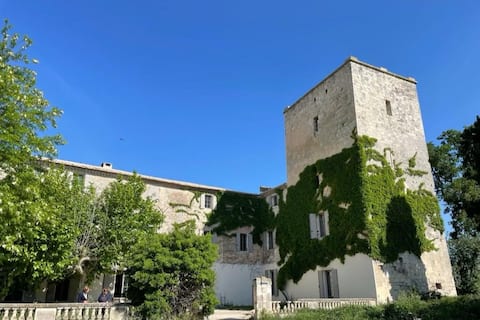 Farmhouse in Camargue by the water