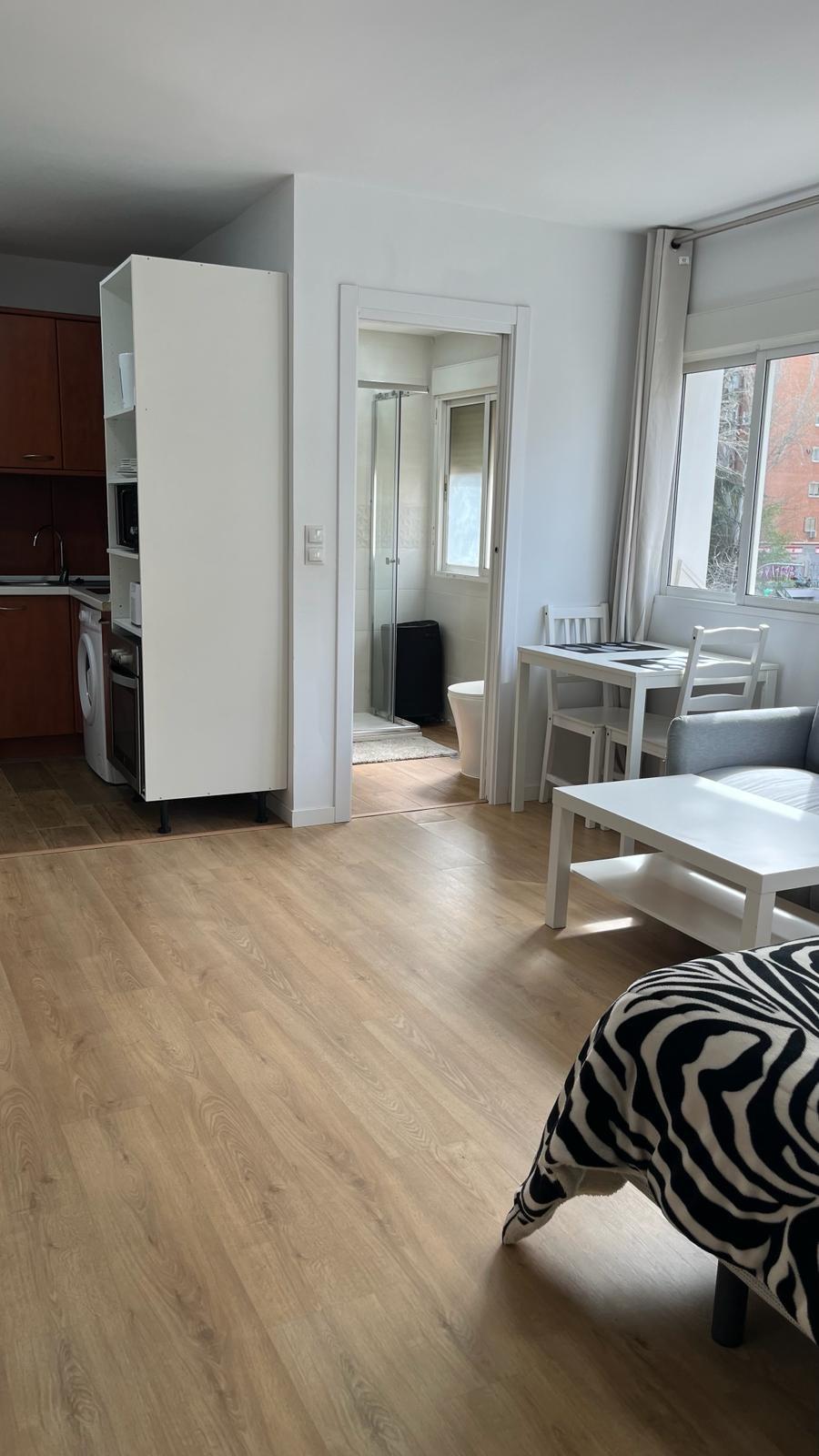 Popular Airbnb listing: Loft Paseo Illustration in Fuencarral El Pardo