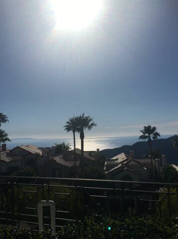 Large 6200 sqft Palisades 5-Bed Ocean View Home