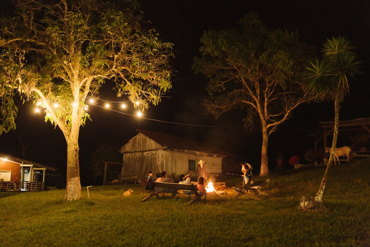 A serene outdoor space is illuminated by string lights hanging from two trees. A gathering around a campfire is visible, with people seated on benches made of logs. A rustic barn stands in the background, surrounded by lush grass and trees.
