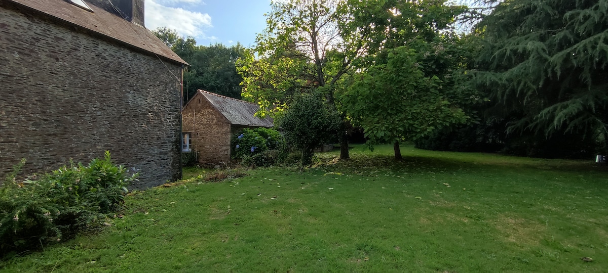 A grassy area is bordered by a stone building on one side and a small shed on the other. Lush trees provide shade, while the open space invites relaxation. Sunlight filters through the foliage, creating a serene outdoor setting.