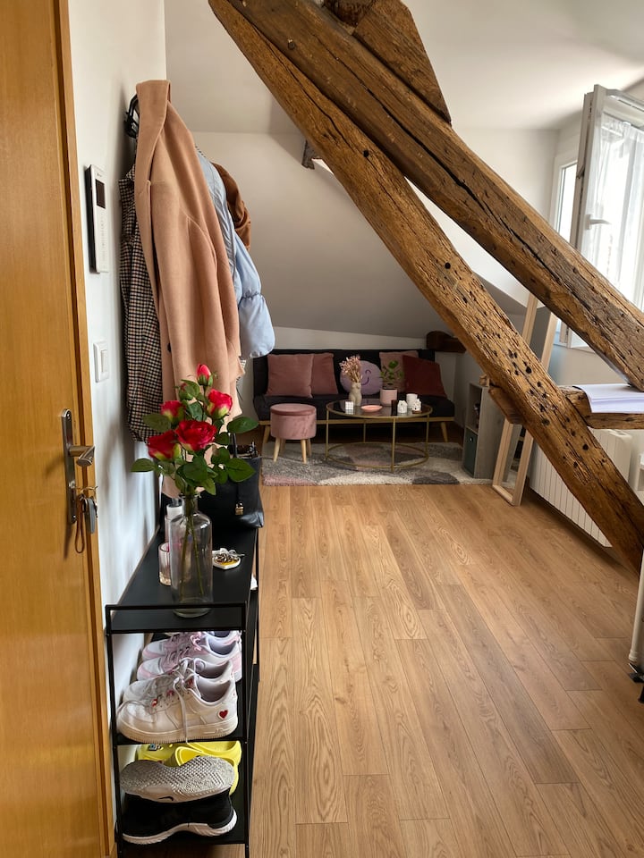 Appartement 1 Chambre - Brétigny-sur-Orge