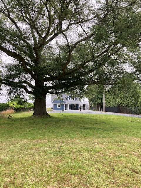Willow Oak Waterview Cottage
