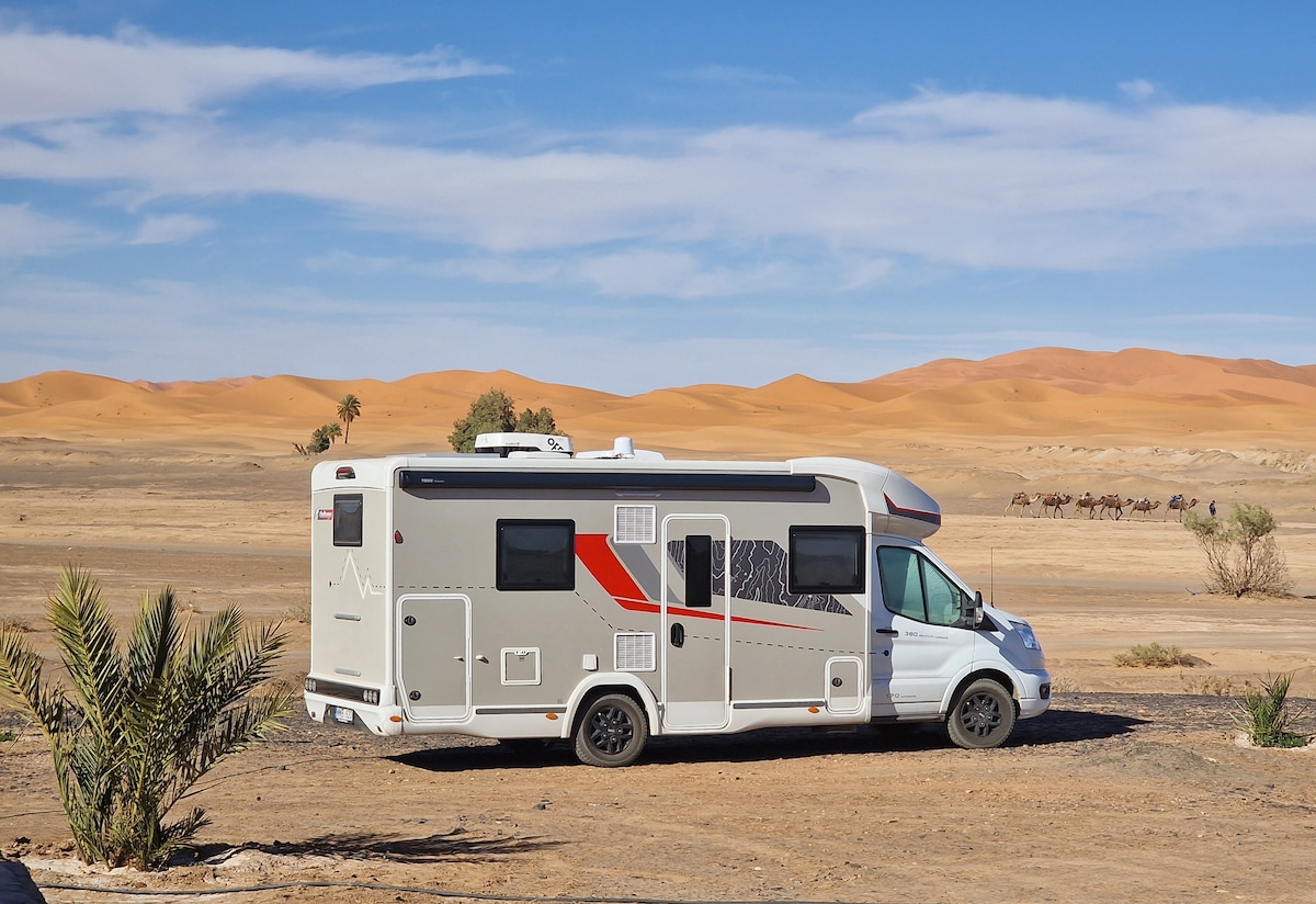 A modern camper van is parked on a rugged terrain, with expansive sandy dunes in the background. Palm trees are visible nearby, and a caravan of camels can be spotted further in the distance under a bright blue sky.