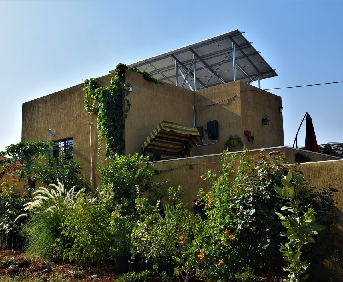 A charming chalet is nestled among lush greenery, featuring a series of potted plants. The exterior is complemented by a solar panel roof and a retractable awning. Sunlight bathes the scene, highlighting the natural beauty of the surroundings.
