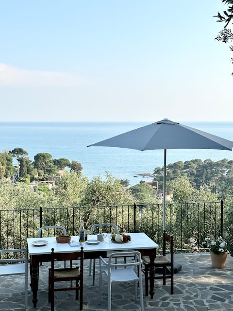Stonehouse in olive grove with stunning sea view.