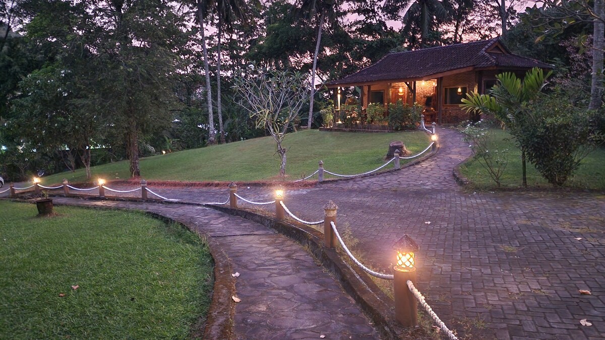 A winding stone path leads to a rustic cottage surrounded by lush greenery. Soft lighting illuminates the walkway, enhancing the tranquil atmosphere of the grassy knoll. Palm trees and well-maintained gardens frame the inviting entrance, creating a peaceful retreat.